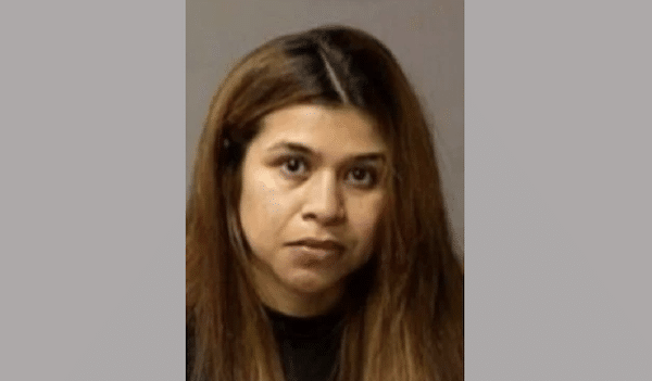Booking photo of a woman with long brown hair facing the camera against a plain gray background.