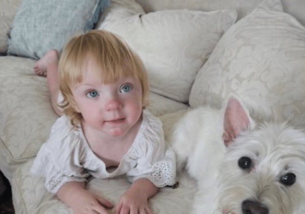 Young child with blond hair lying on a couch beside a small white dog.